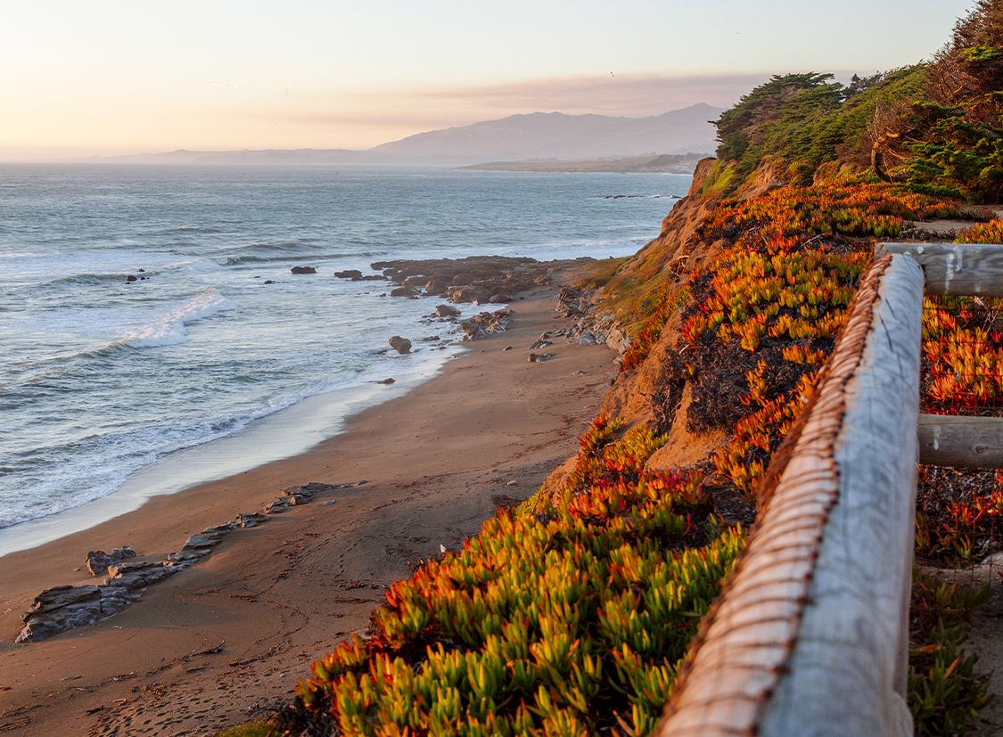 A sunlit rocky coastline with a sandy beach, rolling ocean, and colorful coastal plants beside a wooden fence at sunset.
