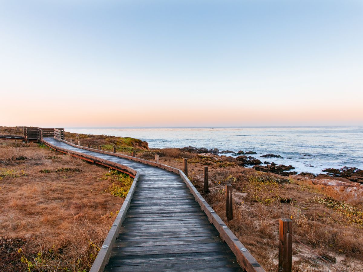 Cambria Hotel Collection