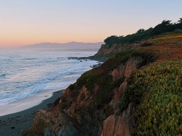 Cambria Hotel Collection