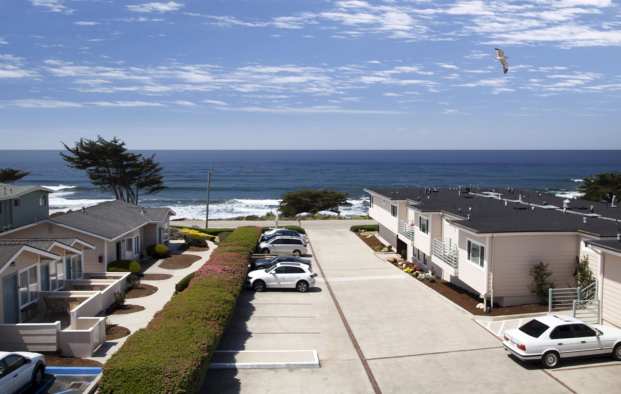 A coastal apartment courtyard with parked cars and ocean waves under a blue sky, while a seabird soars overhead.