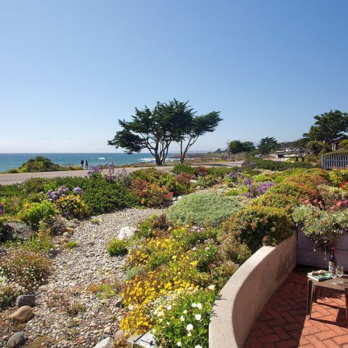 Sunlit seaside garden with colorful flowers, patio chairs by a house, and a distant blue ocean under a clear sky.