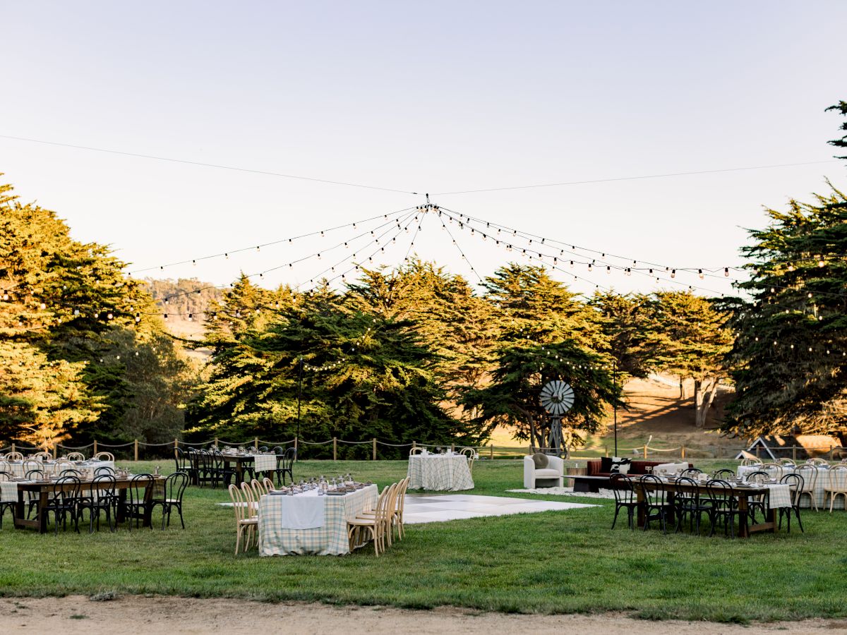 Outdoor wedding-style setup with tables, chairs, a grassy lawn, and dangling string lights stretched between trees.