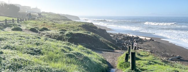 Cambria Hotel Collection