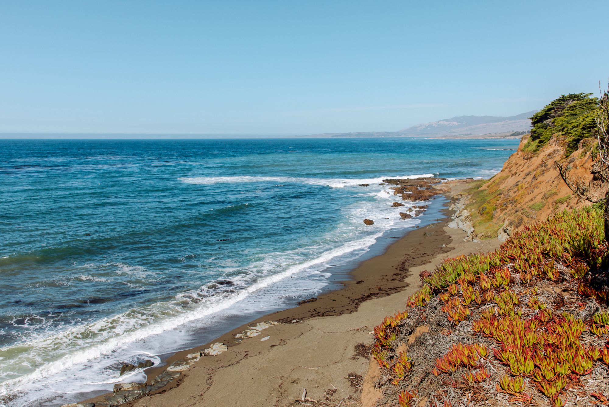 A rugged coastline with waves crashing, a sandy beach, and bright coastal plants under a clear blue sky.